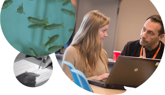 custom-curricula@2x