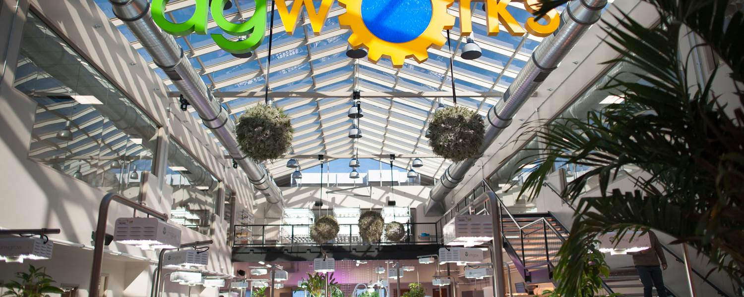 AgWorks at CCA is a new aquaponics facility located at CCA’s Capital Campus in Harrisburg that gives students the opportunity to get involved in aquaponics, hydroponics and aeroponics.